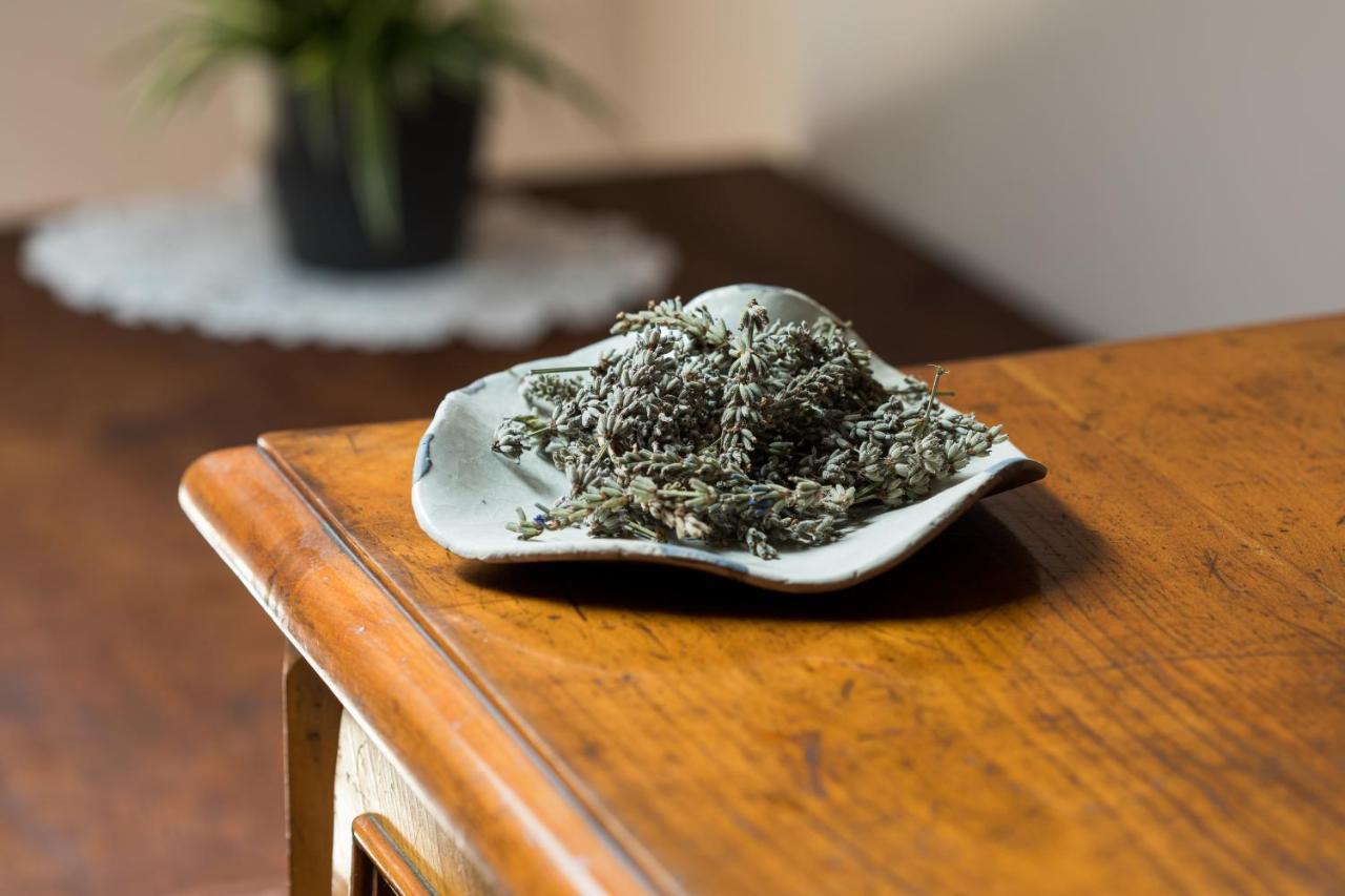 Spacapanova Hisa Komen 外观 照片